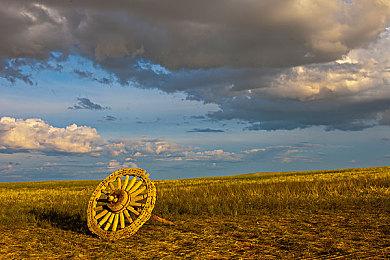 如龙工作室：下一款游戏在开发中 将给粉丝带来惊喜